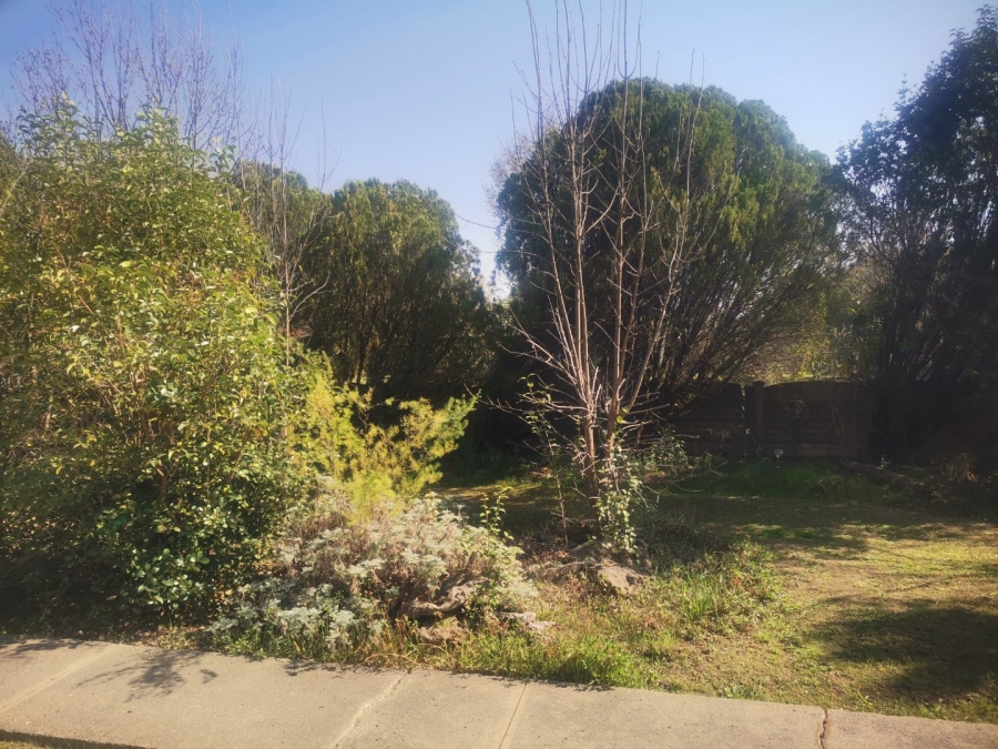3 Bedroom Property for Sale in Senekal Free State